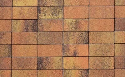 Плитка тротуарная ВЫБОР ЛА-Линия 2П.4, Листопад Саванна коричнево-оранжево-желтый гранит, 200*100*40 мм