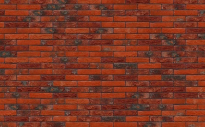 Кирпич ручной формовки Nelissen DANTE, 215*50*65 мм