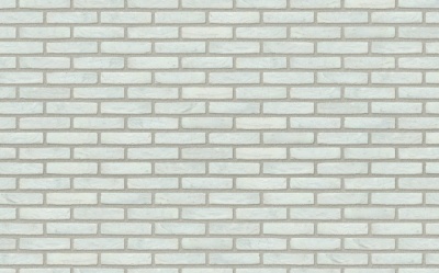 Кирпич керамический Nelissen ARGENTO, 215*50*65 мм