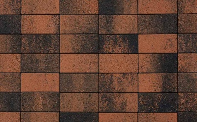 Плитка тротуарная ВЫБОР ЛА-Линия 2П.6, Листопад Мустанг оранжево-черный  гладкий, 200*100*60 мм