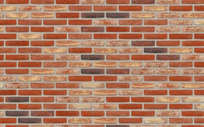 Кирпич ручной формовки Nelissen Verona, 215*50*65 мм