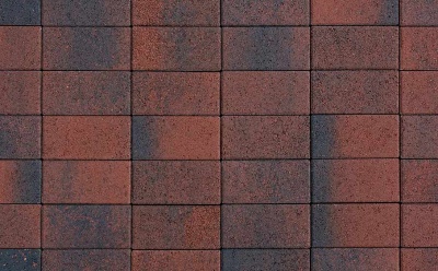 Плитка тротуарная ВЫБОР ЛА-Линия 2П.8, Листопад Клинкер гладкий, 200*100*80 мм