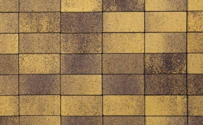 Плитка тротуарная ВЫБОР ЛА-Линия 5П.8 Листопад Янтарь коричнево-желтый гранит, 600*300*80 мм