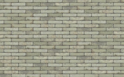 Кирпич керамический Nelissen GROEN-GRIJS Gesmoord, 210*100*50 мм