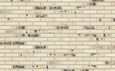Кирпич керамический полнотелый Nelissen Rodruza Wit Sintered рельефный, 215*50*65 мм
