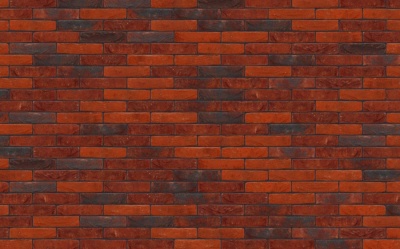 Кирпич ручной формовки Nelissen Autrique, 215*50*65 мм