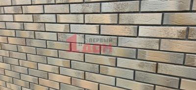 Кирпич фасадный Селигер VOLGABRICK 1НФ, F100, M200
