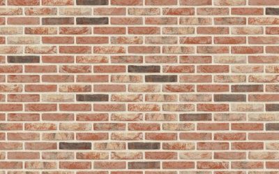 Кирпич ручной формовки Nelissen Neo Barok, 215*100*65 мм