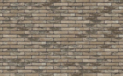 Кирпич ручной формовки Nelissen ROCA, 215*50*65 мм