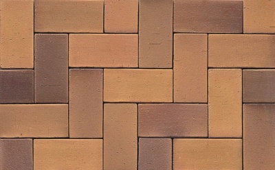 Тротуарная клинкерная брусчатка Muhr №08S Lachsrot spezial, 220*105*52 мм